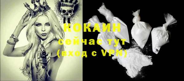 крисы Абаза