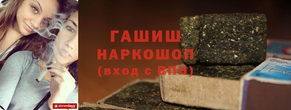 крисы Абаза