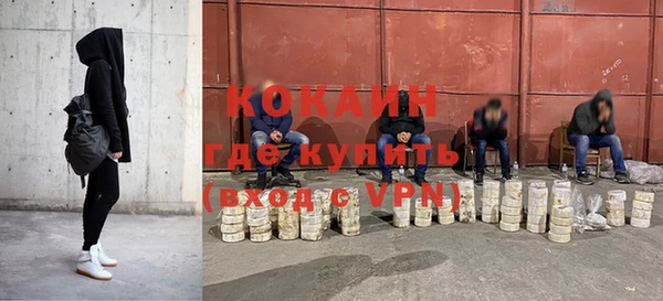 стафф Алзамай